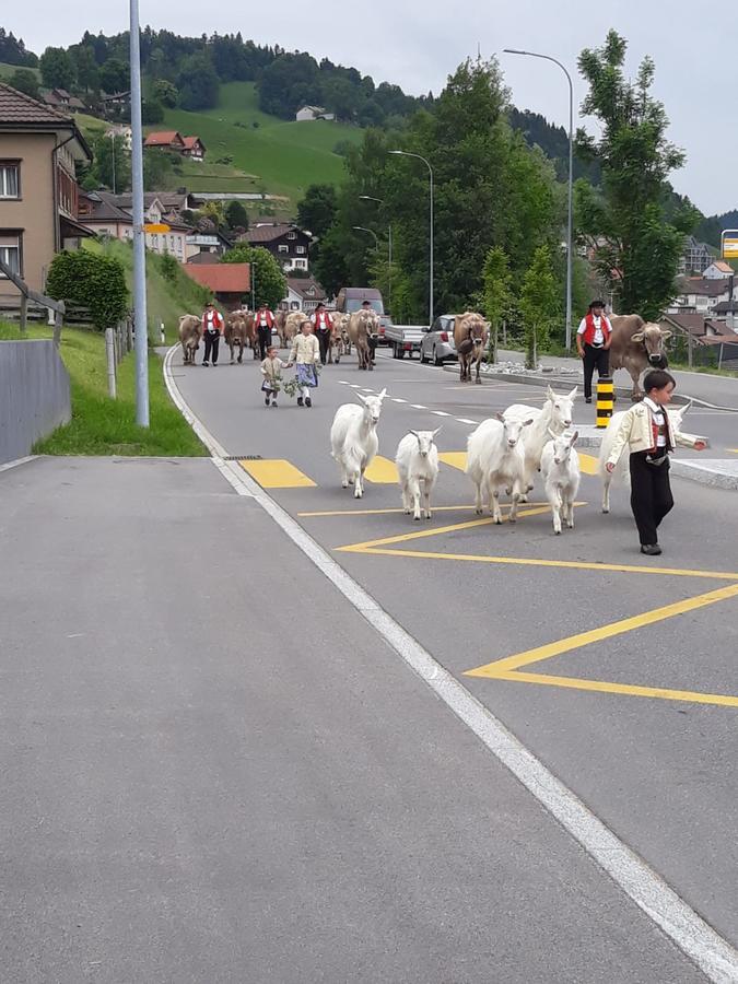 Appartamento Klein Aber Fein Urnäsch Esterno foto